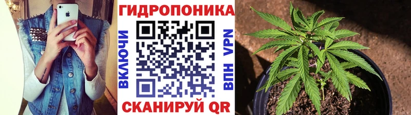 Бошки Шишки OG Kush где продают наркотики Азнакаево